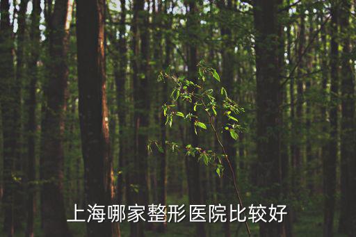 上海哪家整形醫(yī)院比較好