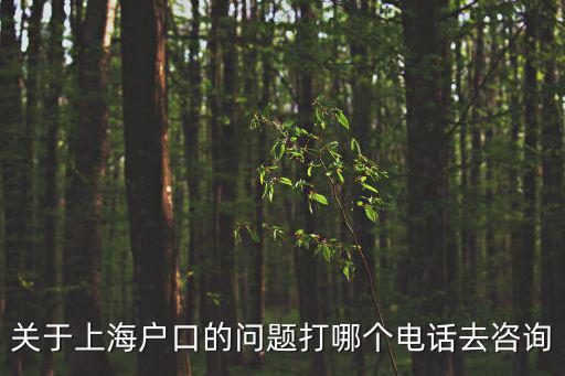 關于上海戶口的問題打哪個電話去咨詢