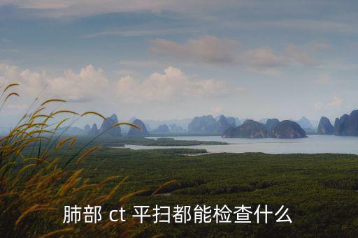 肺部 ct 平掃都能檢查什么