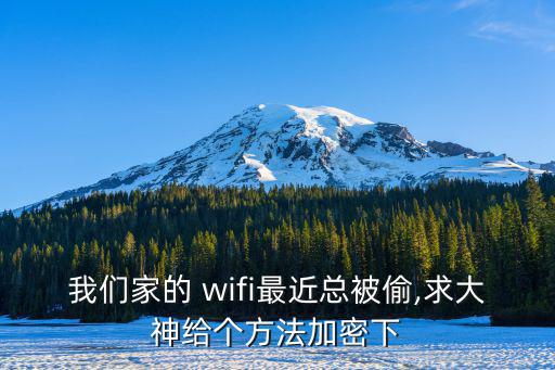 我們家的 wifi最近總被偷,求大神給個方法加密下