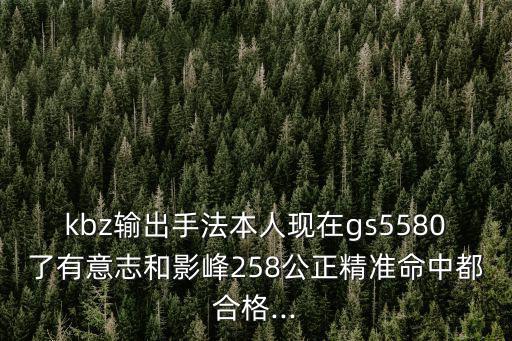 kbz輸出手法本人現在gs5580了有意志和影峰258公正精準命中都合格...