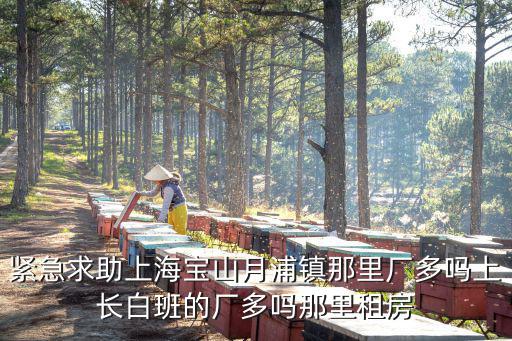上海市寶山區月浦租房，上海寶山月浦品客休閑屋 電話