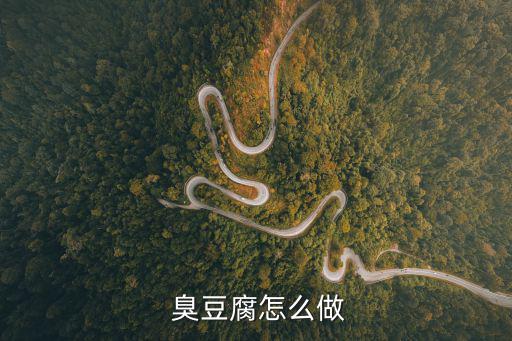  臭豆腐怎么做