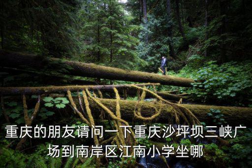 重慶的朋友請問一下重慶沙坪壩三峽廣場到南岸區江南小學坐哪