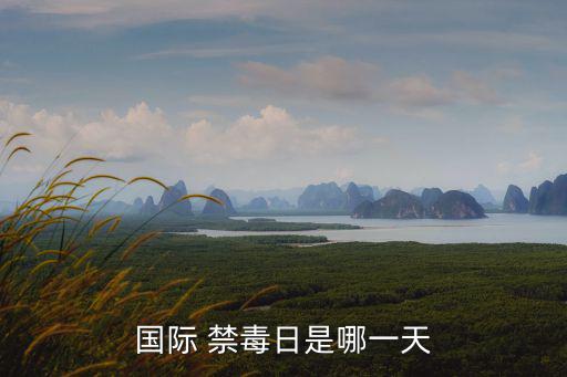 國際 禁毒日是哪一天