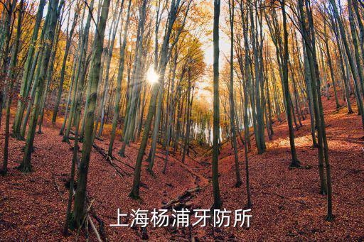 陳麗娟 上海市楊浦區(qū)，上海市楊浦區(qū)交通違章處罰地chrainbowwtyask1