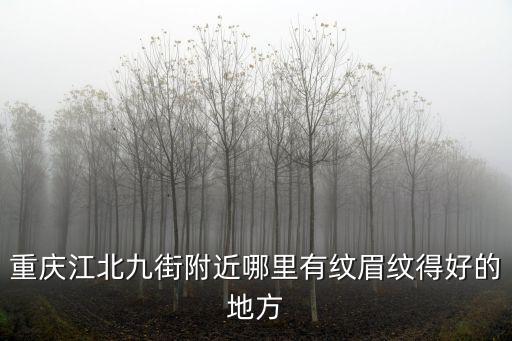 重慶江北九街附近哪里有紋眉紋得好的地方
