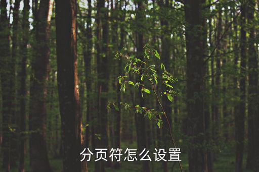 怎么插入分頁符,選擇分頁或移除邊框