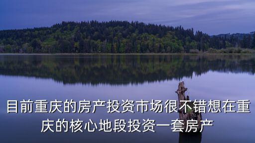目前重慶的房產投資市場很不錯想在重慶的核心地段投資一套房產