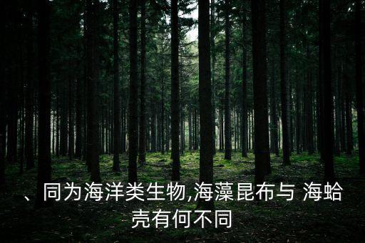 海蛤殼的功效與作用,海蛤殼是什么東西?