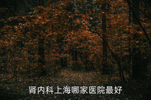 上海腎內科醫院排名第一，腎內科上海哪家醫院最好