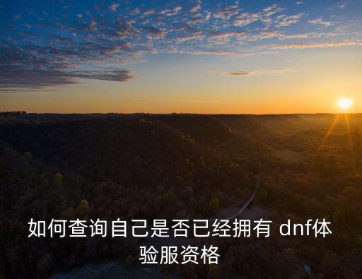如何查詢自己是否已經擁有 dnf體驗服資格