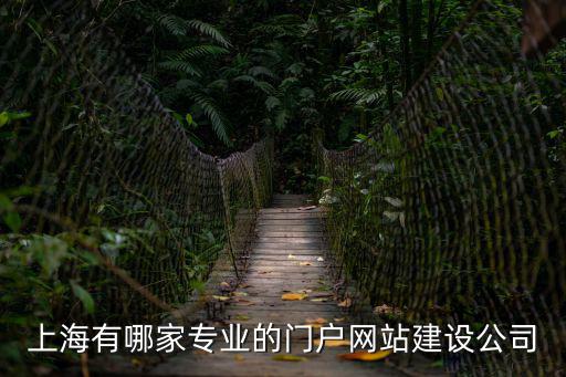 上海網站建設公司，上海企業網站建設公司哪家好能夠提供專業的中文網站建設外貿