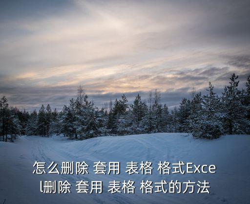 怎么刪除 套用 表格 格式Excel刪除 套用 表格 格式的方法