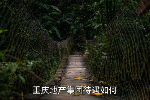 重慶地產(chǎn)集團待遇如何