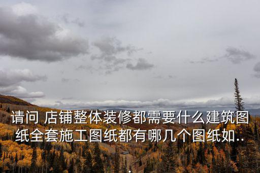 請問 店鋪整體裝修都需要什么建筑圖紙全套施工圖紙都有哪幾個圖紙如...