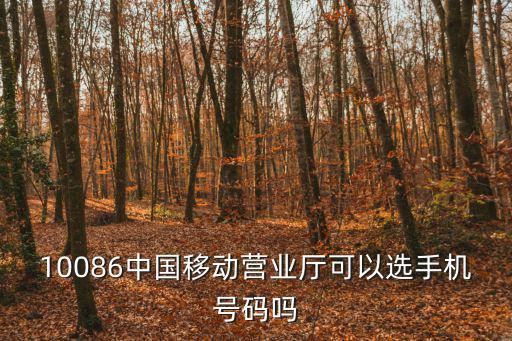 10086中國移動營業廳可以選手機號碼嗎
