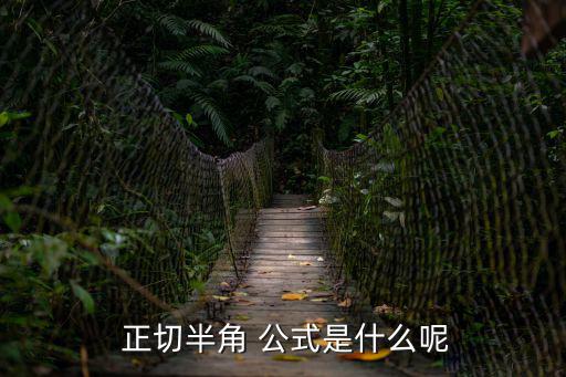  正切半角 公式是什么呢