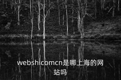 進(jìn)入上海市老干部網(wǎng)站，webshicomcn是哪上海的網(wǎng)站嗎