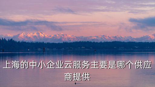 上海的中小企業云服務主要是哪個供應商提供