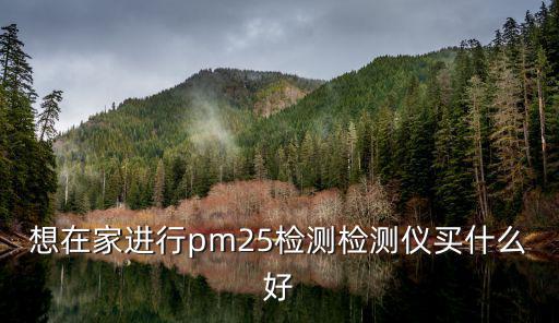 想在家進(jìn)行pm25檢測(cè)檢測(cè)儀買什么好