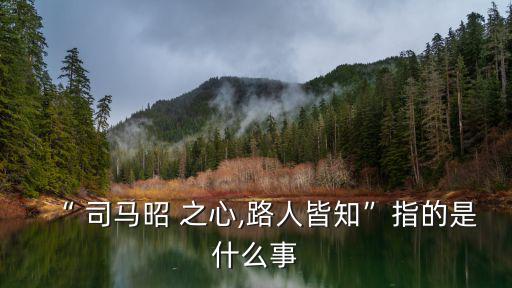 “ 司馬昭 之心,路人皆知”指的是什么事