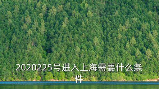 2020225號進入上海需要什么條件