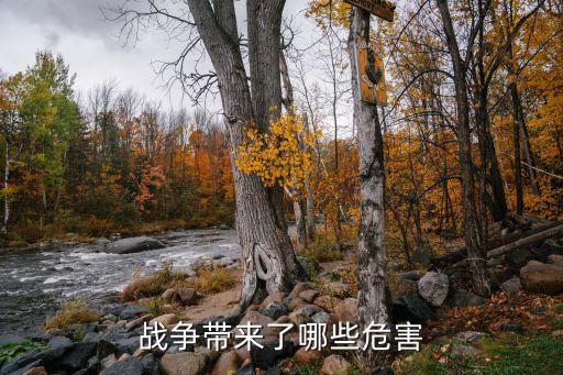戰爭帶來的危害，戰爭帶來了哪些危害
