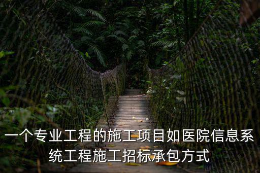一個(gè)專(zhuān)業(yè)工程的施工項(xiàng)目如醫(yī)院信息系統(tǒng)工程施工招標(biāo)承包方式