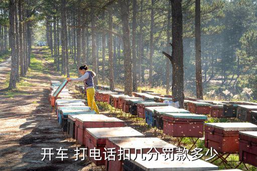  開車 打電話扣幾分罰款多少