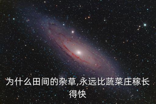為什么田間的雜草,永遠比蔬菜莊稼長得快