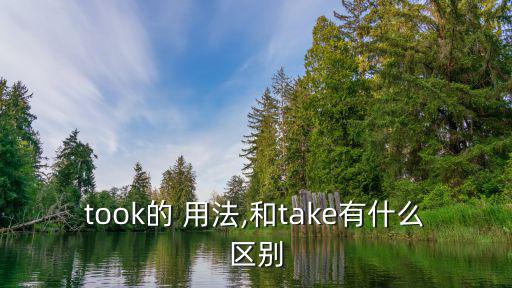 took的 用法,和take有什么區(qū)別