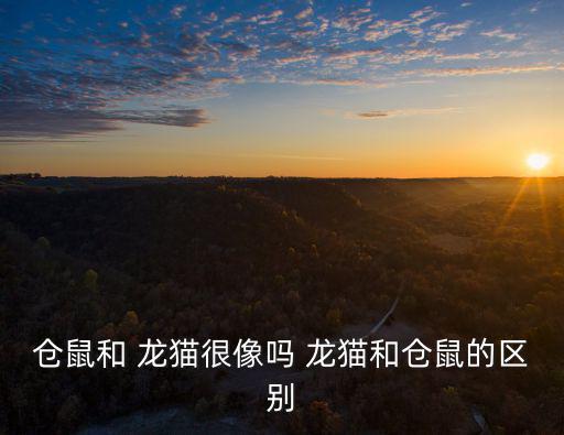 龍貓的圖片,貓和鼠之爭的始末