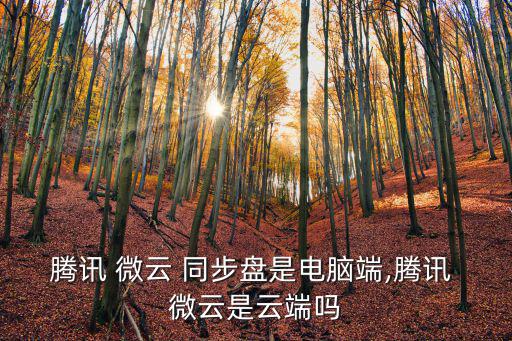 微云同步盤,微云電腦版2.0同步如何上傳
