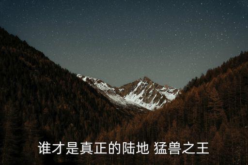 前50位猛獸排名