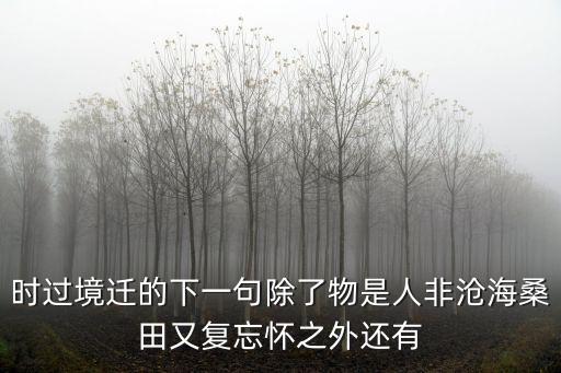時過境遷的下一句除了物是人非滄海桑田又復忘懷之外還有