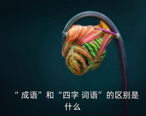 “ 成語”和“四字 詞語”的區(qū)別是什么