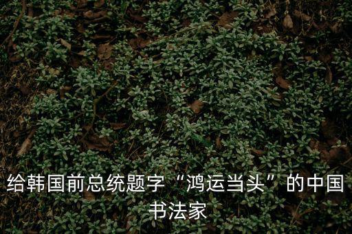 給韓國前總統(tǒng)題字“鴻運當頭”的中國 書法家