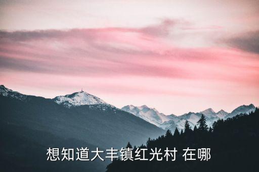 想知道大豐鎮紅光村 在哪