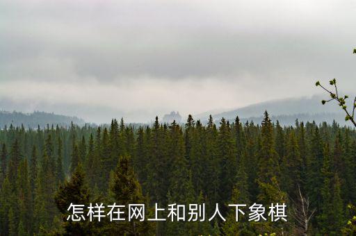 怎樣在網上和別人下象棋