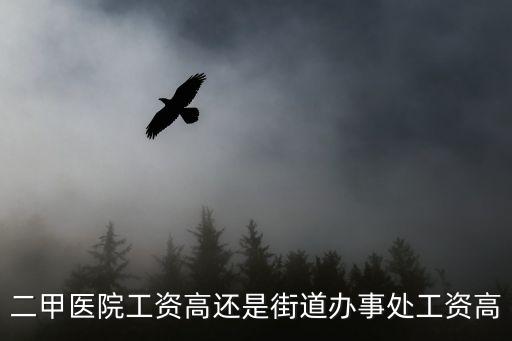 二甲醫院工資高還是街道辦事處工資高