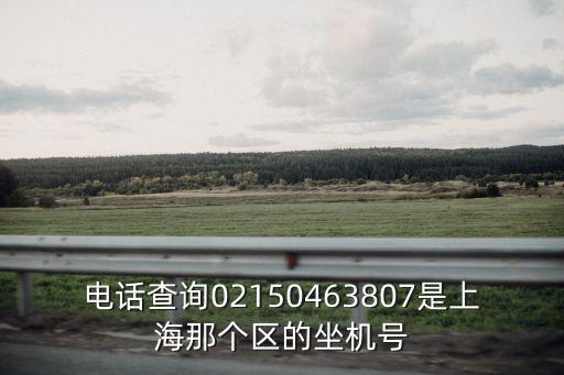 電話查詢02150463807是上海那個區的坐機號