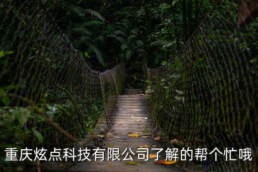 重慶炫點科技有限公司了解的幫個忙哦