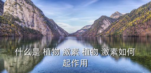 什么是 植物 激素 植物 激素如何起作用