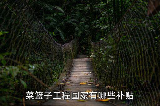 菜籃子工程國家有哪些補(bǔ)貼