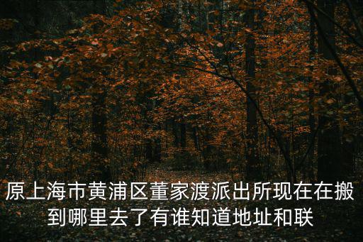 上海黃浦區派出所電話，原上海市黃浦區董家渡派出所現在在搬到哪里去了有誰知道地址和聯