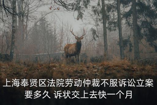 上海奉賢區法院勞動仲裁不服訴訟立案要多久 訴狀交上去快一個月