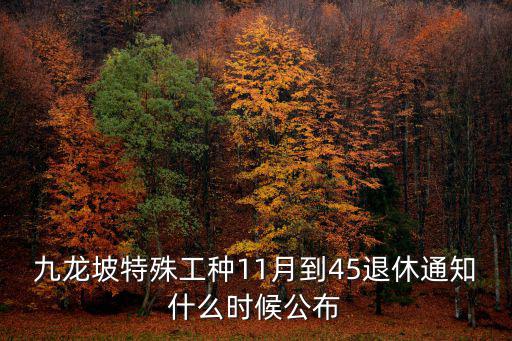 九龍坡特殊工種11月到45退休通知什么時候公布
