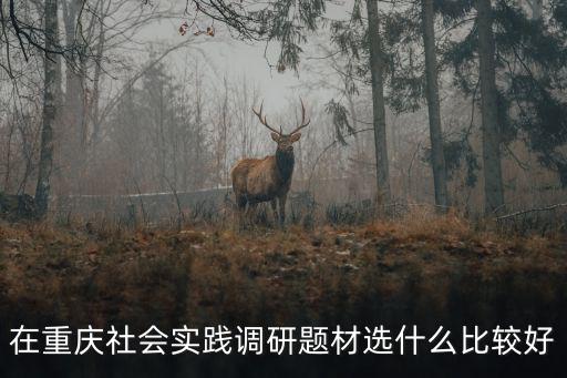 在重慶社會實踐調研題材選什么比較好