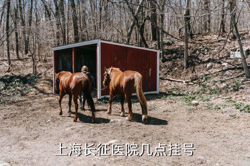 長征醫院門診上班時間，上海長征醫院幾點掛號
